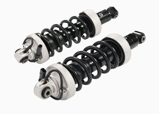 420512019AK 420512020AK 磁気運転制御付きのバックサスペンションショックストラット Audi R8 V8 4.2L 5.2L 2007-2015